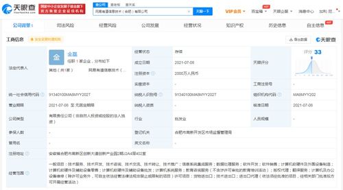 高效數(shù)據(jù)處理服務(wù) 賦能企業(yè)決策與業(yè)務(wù)增長